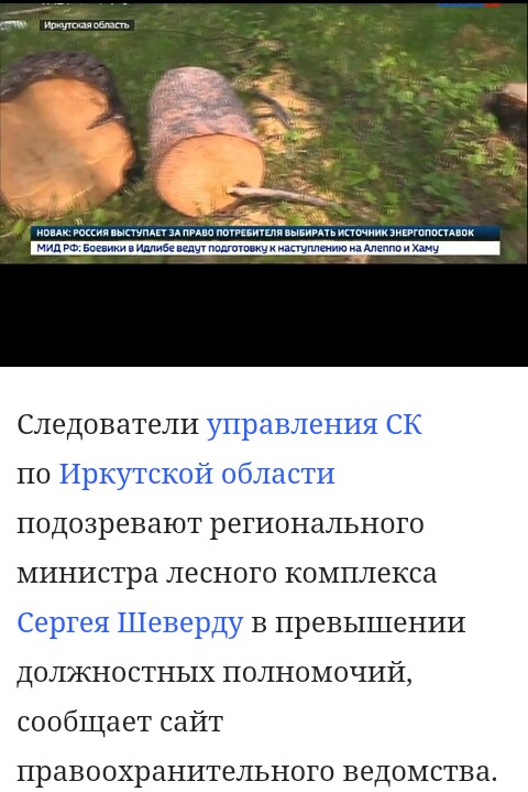 Правительство Иркутской области допустило незаконные вырубки древесины на несколько миллиардов рублей