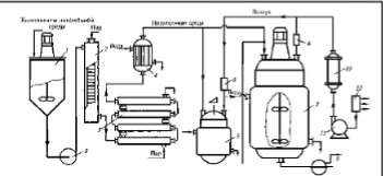 Производство собственного амилолитического ферментного препарата Aspergillus Niger на спиртовой барде
