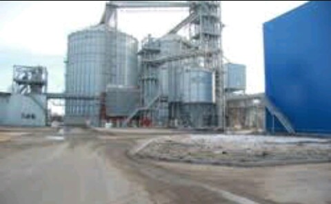 Переработка кукурузного зерна на крахмало-паточном заводе АСТОН в Рязанской области