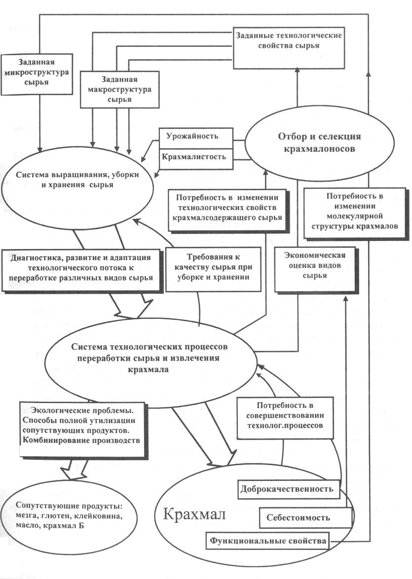 Структура системы научных исследований в производстве нативных крахмалов